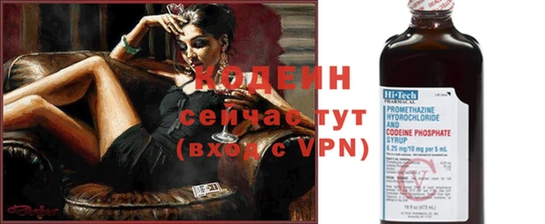 амф Ладушкин
