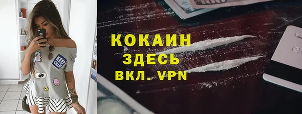 амф Ладушкин