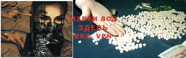 амф Ладушкин