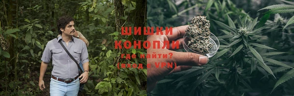 бутират Лагань