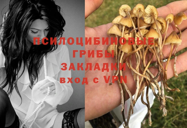 амф Ладушкин