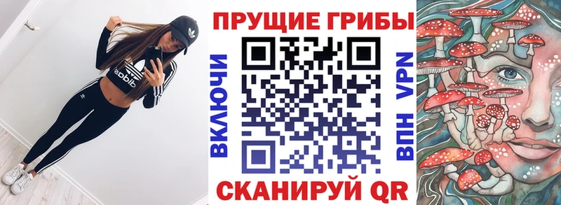 Галлюциногенные грибы Cubensis  shop телеграм  Елизаветинская 